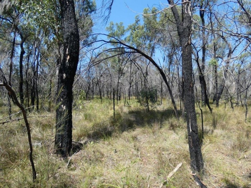 641 Capricornia Drive, Deepwater QLD 4674