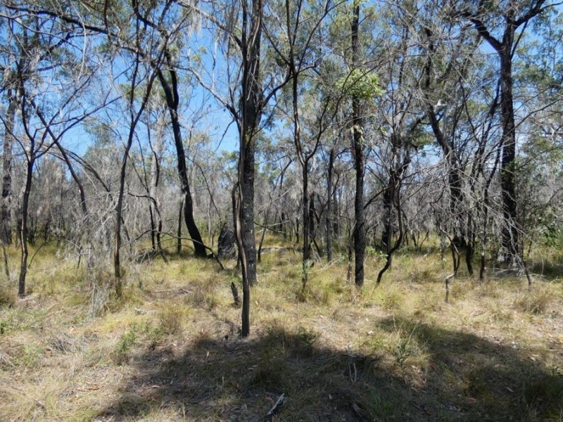 641 Capricornia Drive, Deepwater QLD 4674