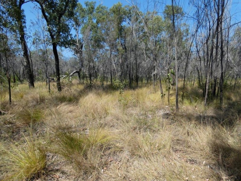 641 Capricornia Drive, Deepwater QLD 4674