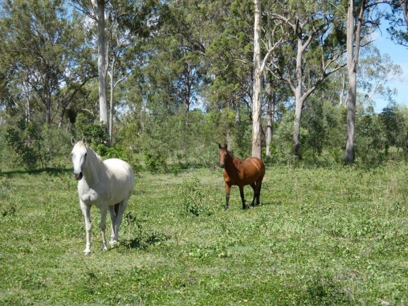 130 Blackmans Gap Road, Miriam Vale QLD 4677