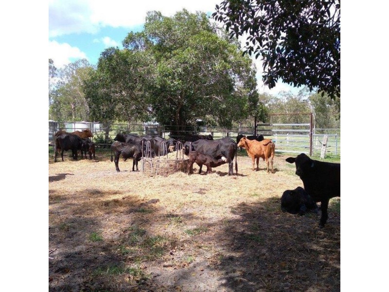 130 Blackmans Gap Road, Miriam Vale QLD 4677