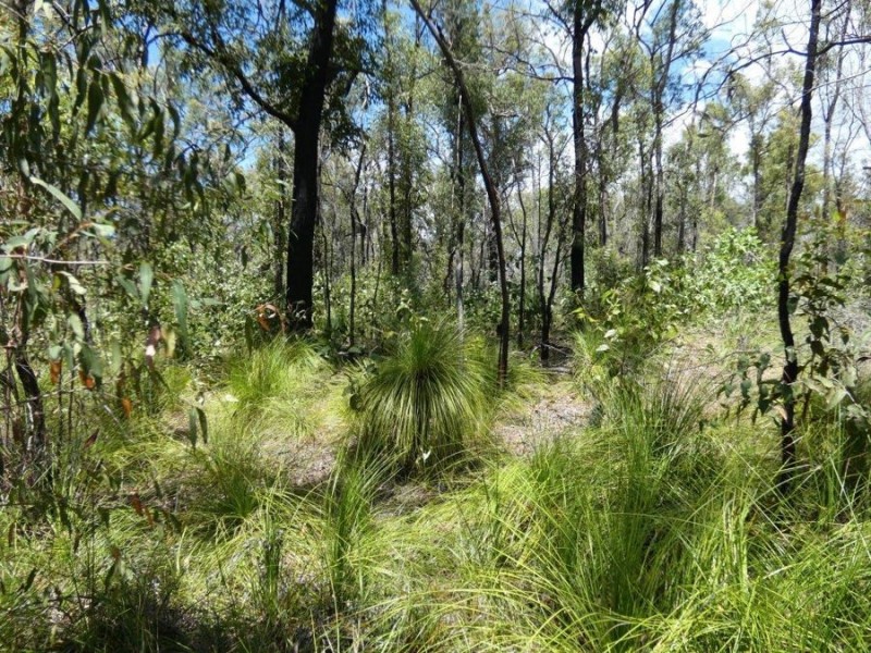 Lot 84 Pacific Drive, Deepwater QLD 4674
