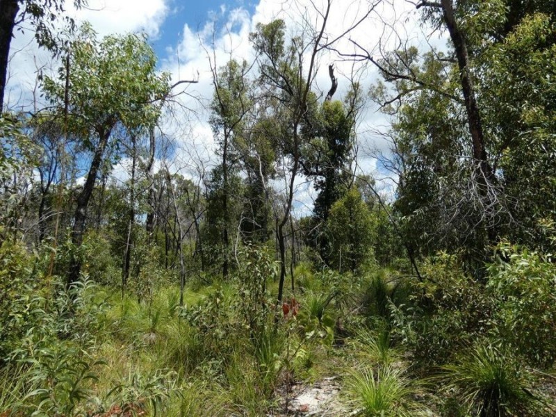 Lot 84 Pacific Drive, Deepwater QLD 4674