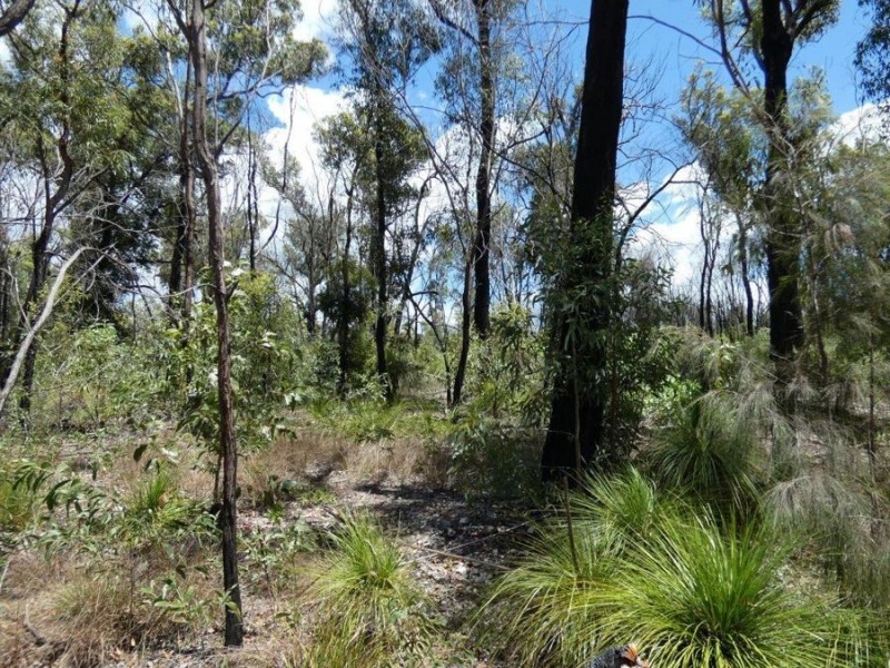 Lot 84 Pacific Drive, Deepwater QLD 4674