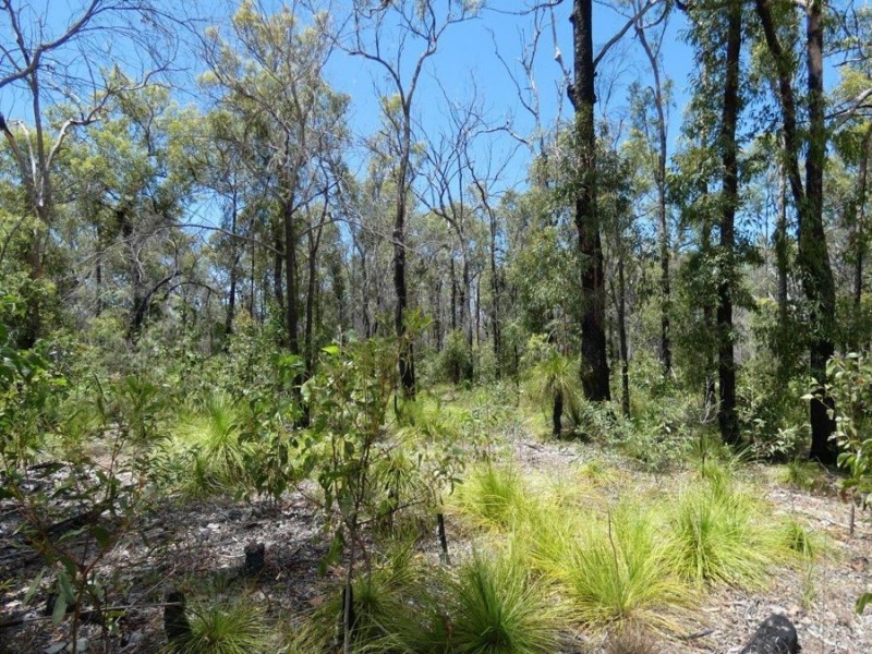 Lot 84 Pacific Drive, Deepwater QLD 4674