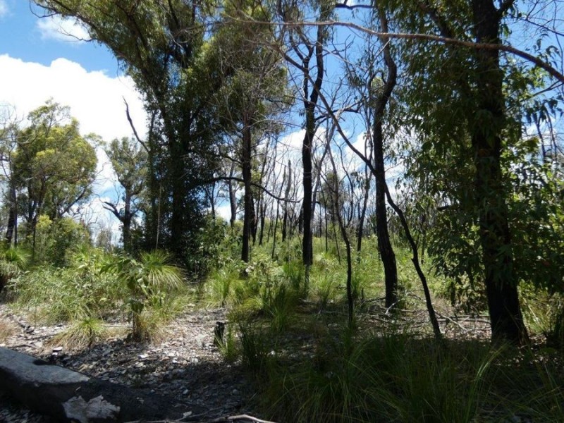 Lot 84 Pacific Drive, Deepwater QLD 4674