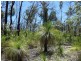 Lot 84 Pacific Drive, Deepwater QLD 4674