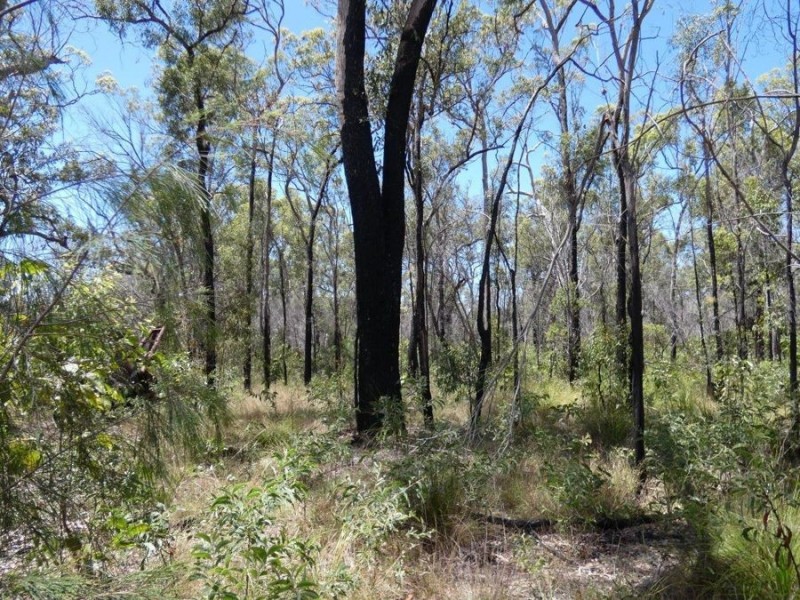 Lot 84 Pacific Drive, Deepwater QLD 4674