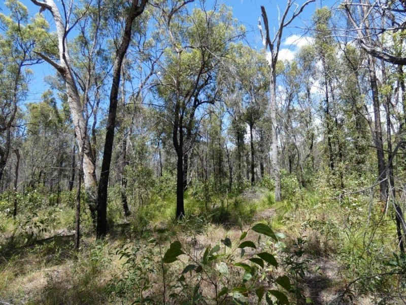 Lot 84 Pacific Drive, Deepwater QLD 4674