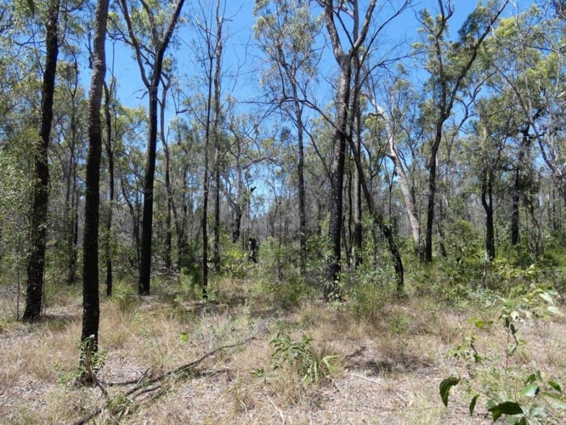 Lot 84 Pacific Drive, Deepwater QLD 4674