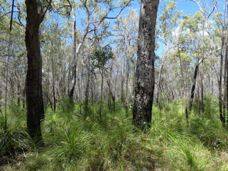 756 Matchbox Road, Deepwater QLD 4674