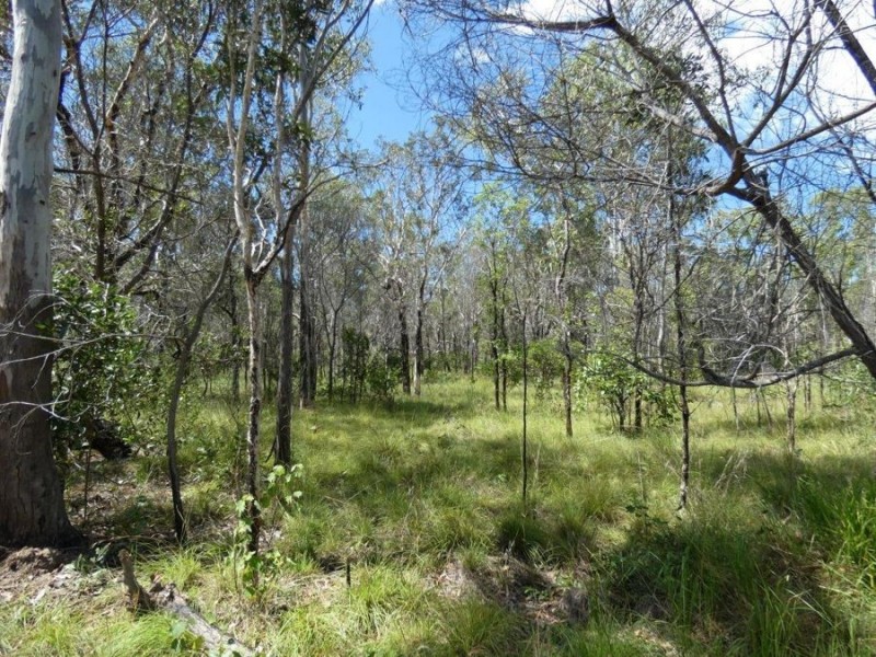 756 Matchbox Road, Deepwater QLD 4674