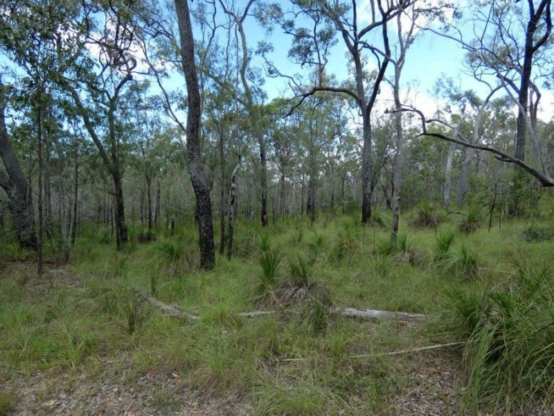 756 Matchbox Road, Deepwater QLD 4674