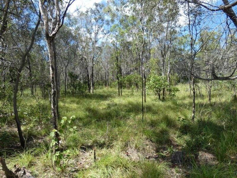 756 Matchbox Road, Deepwater QLD 4674