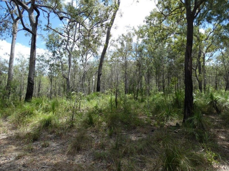 756 Matchbox Road, Deepwater QLD 4674