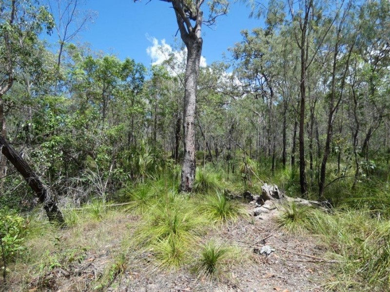 756 Matchbox Road, Deepwater QLD 4674