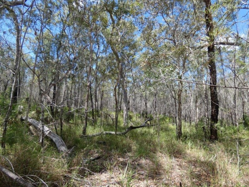 756 Matchbox Road, Deepwater QLD 4674