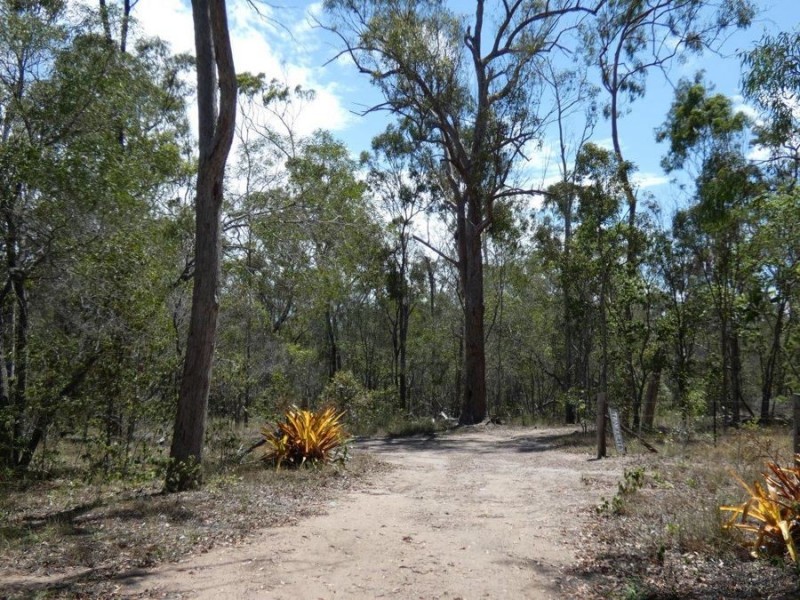 Lot 97 Steeds Road, Winfield QLD 4670