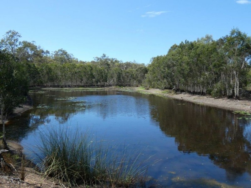 Lot 97 Steeds Road, Winfield QLD 4670