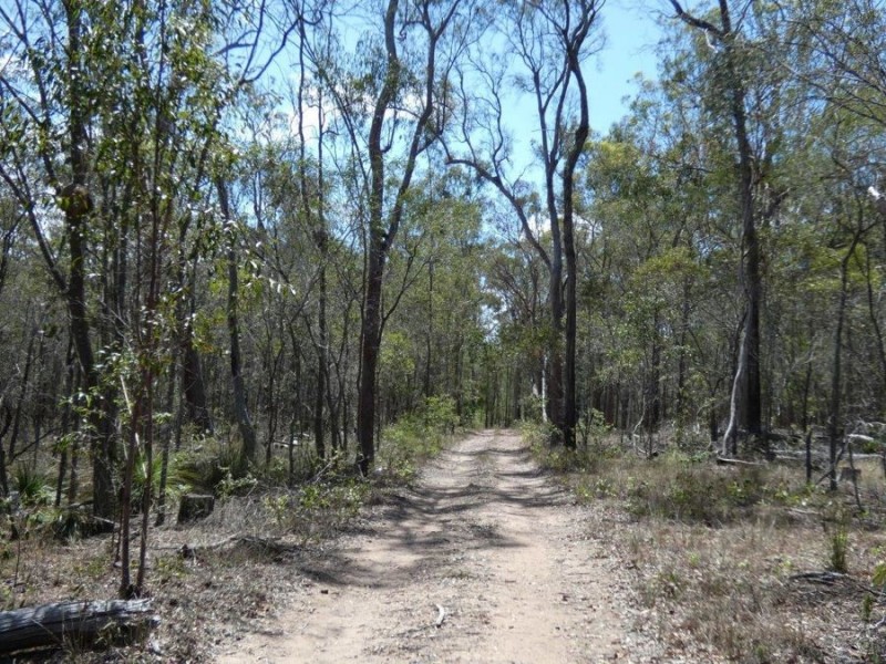 Lot 97 Steeds Road, Winfield QLD 4670
