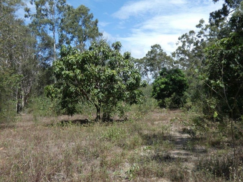 Lot 97 Steeds Road, Winfield QLD 4670