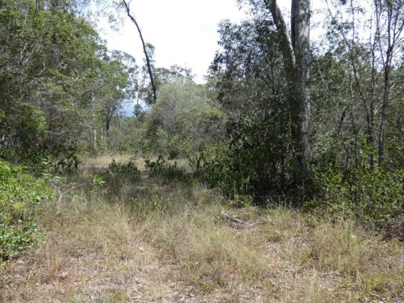 Lot 97 Steeds Road, Winfield QLD 4670
