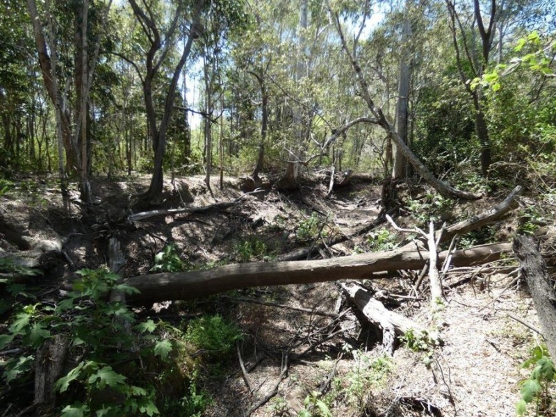 Lot 97 Steeds Road, Winfield QLD 4670