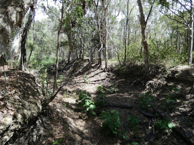 Lot 97 Steeds Road, Winfield QLD 4670