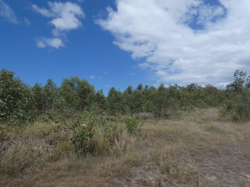 Lot 97 Steeds Road, Winfield QLD 4670