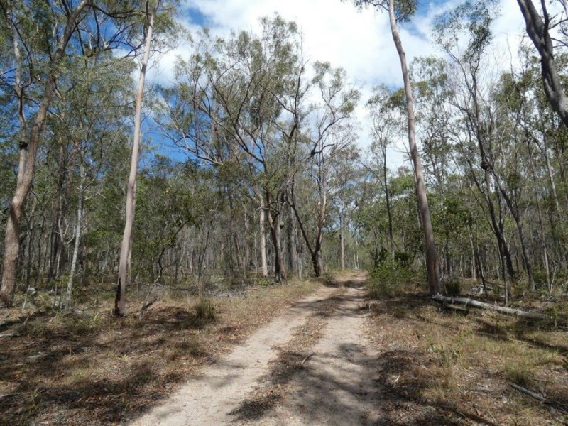 Lot 97 Steeds Road, Winfield QLD 4670