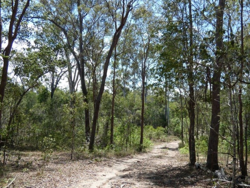 Lot 97 Steeds Road, Winfield QLD 4670