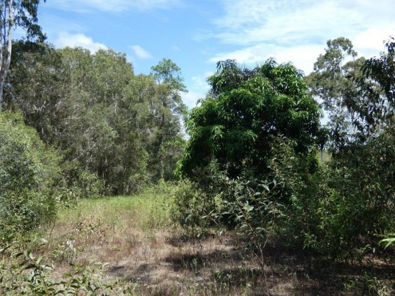 Lot 97 Steeds Road, Winfield QLD 4670