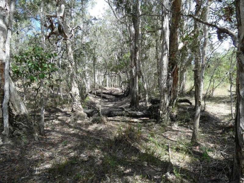 Lot 97 Steeds Road, Winfield QLD 4670