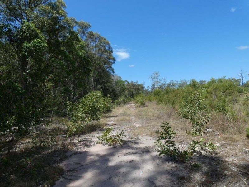 Lot 97 Steeds Road, Winfield QLD 4670