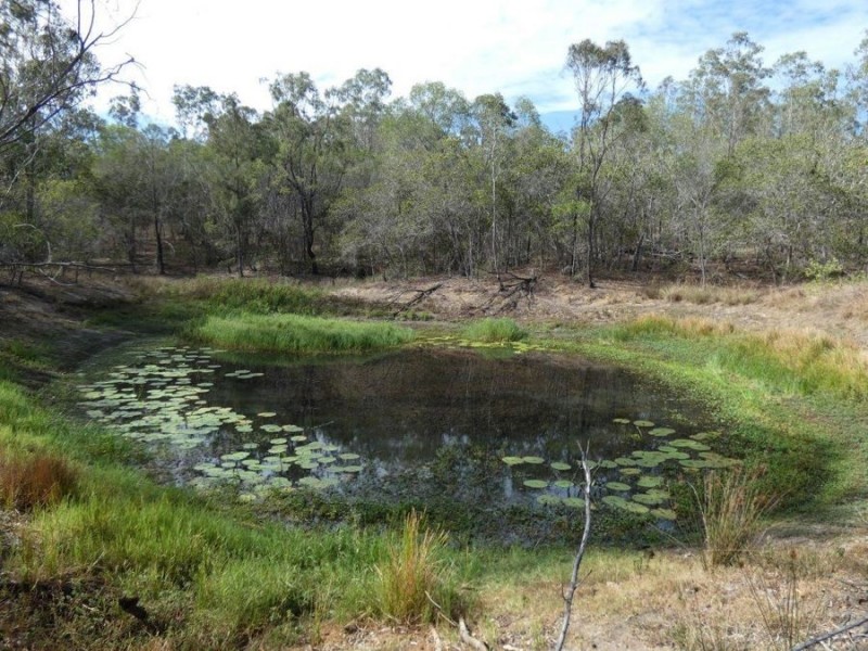 669 Diamond Hill Road, Rosedale QLD 4674