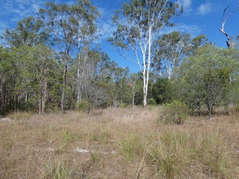 669 Diamond Hill Road, Rosedale QLD 4674