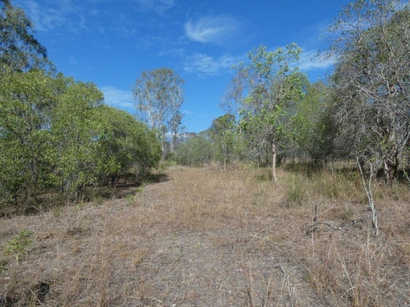 669 Diamond Hill Road, Rosedale QLD 4674