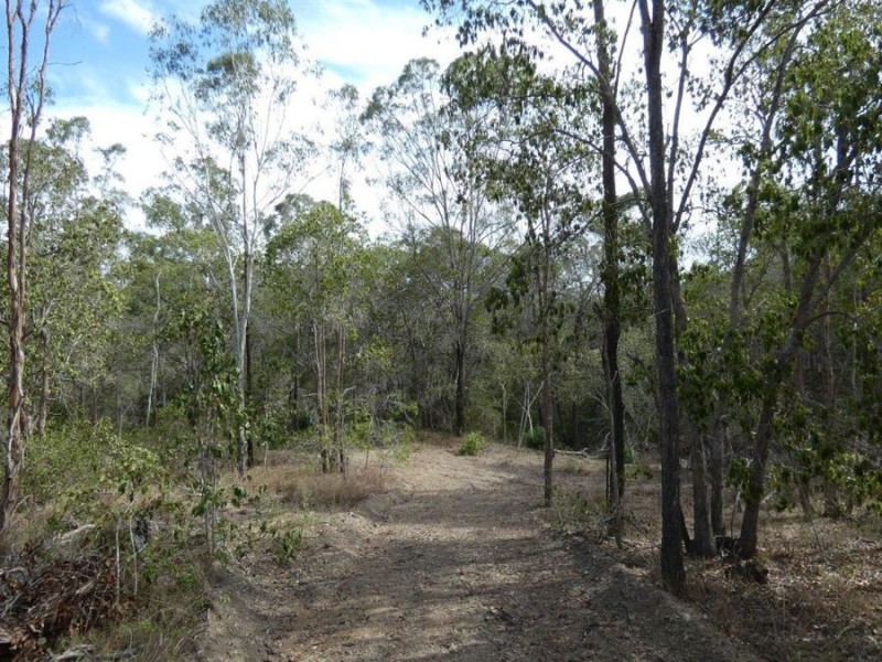 669 Diamond Hill Road, Rosedale QLD 4674