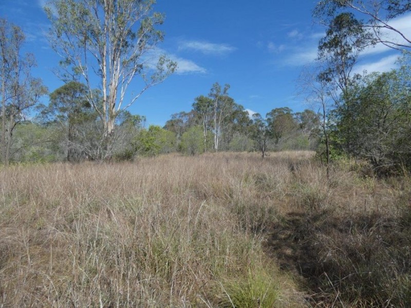 669 Diamond Hill Road, Rosedale QLD 4674