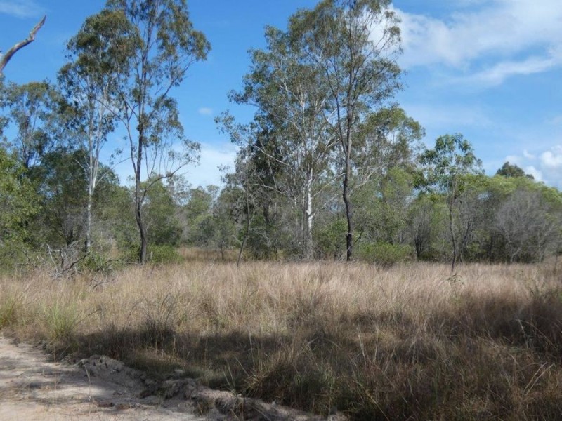 669 Diamond Hill Road, Rosedale QLD 4674