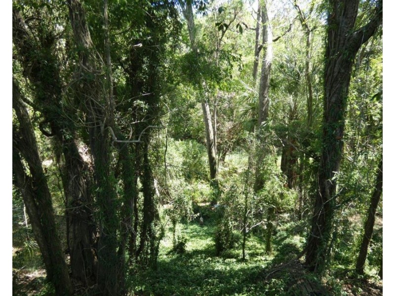 3183 Lowmead Road, Lowmead QLD 4676