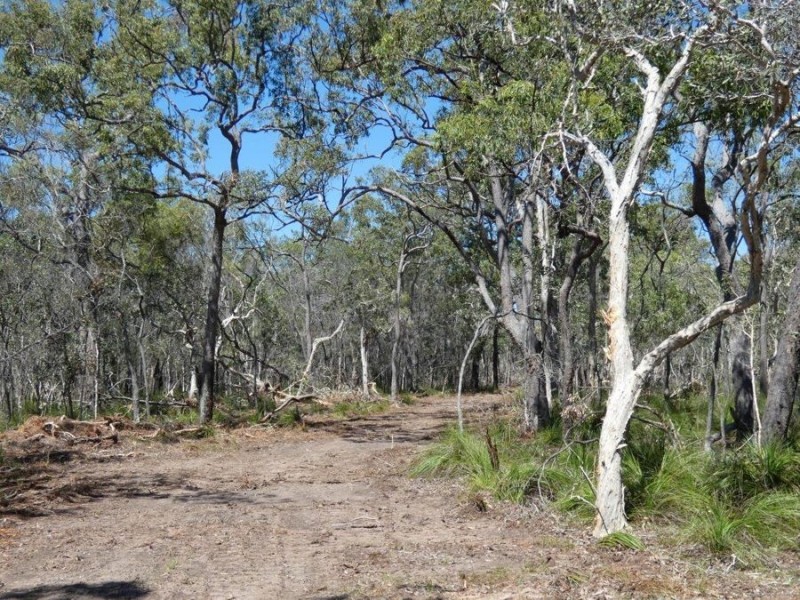 Lot 2 Dale Drive, Rules Beach QLD 4674