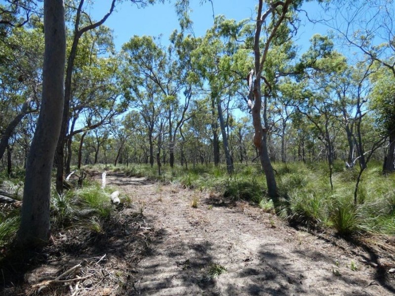 Lot 2 Dale Drive, Rules Beach QLD 4674