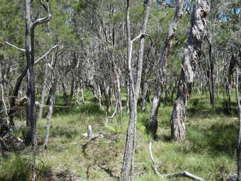 Lot 2 Dale Drive, Rules Beach QLD 4674