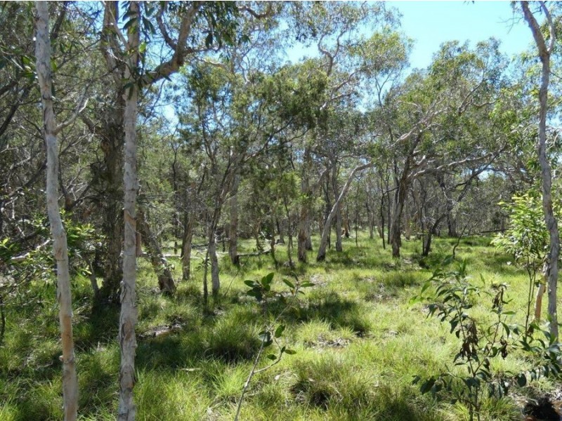 Lot 2 Dale Drive, Rules Beach QLD 4674