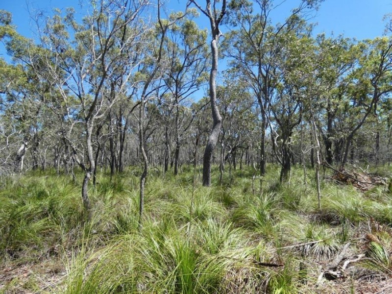 Lot 2 Dale Drive, Rules Beach QLD 4674