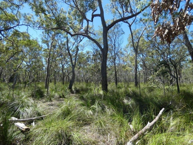 Lot 2 Dale Drive, Rules Beach QLD 4674