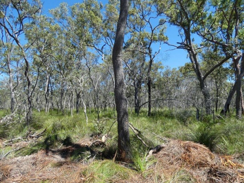 Lot 2 Dale Drive, Rules Beach QLD 4674