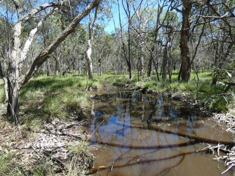 Lot 2 Dale Drive, Rules Beach QLD 4674