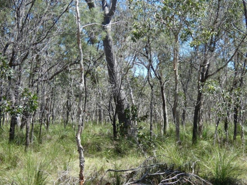 Lot 2 Dale Drive, Rules Beach QLD 4674